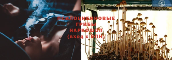 PSILOCYBIN Абдулино