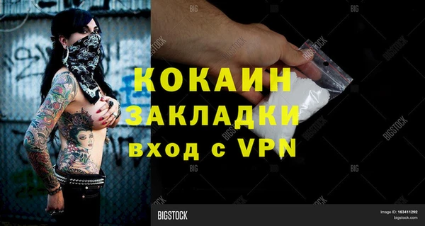 PSILOCYBIN Абдулино