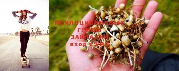mix Абинск